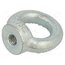DIN 582-M10-ST Lifting eye nut; eye; M10; steel; Plating: zinc; DIN 582; 25mm bQ9t-rwk35eAFBU9WMyD0_2NkefeNigDXsfyAPUeSo8
