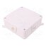 0217-00 -AS Enclosure: junction box; X: 134mm; Y: 134mm; Z: 50mm; wall mount L4LbnVNlPzS1ybBX60olg1ZSs-TVSSBEbSSzK-1lHho
