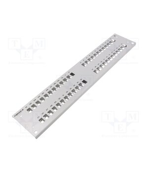 FB2044 Front panel; 2U; Panel colour: grey; double I5C0X8KzobHkZKPzOJJOVw5h1B9in41zxftjPbhPgCw