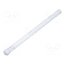 1282.6001 Fiber for LED; Ø3.2mm; L: 45mm; round; Front: convex; straight MiC9oyleVajZgHOp8A-x6l1AcTqv24-1eBi6aMYkm_Q