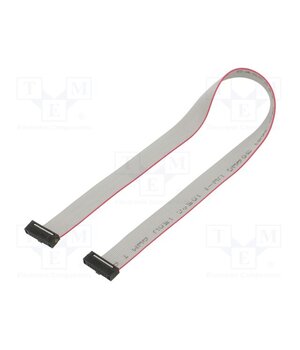 FFSD-08-D-10.50-01-N-R Ribbon cable with IDC connectors; IDC,both sides; 266.7mm E4iJt1iU7ih-eLIrJcvXeZN7RM-euEZjCBTZeV4prMI