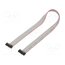 FFSD-08-D-10.50-01-N-R Ribbon cable with IDC connectors; IDC,both sides; 266.7mm E4iJt1iU7ih-eLIrJcvXeZN7RM-euEZjCBTZeV4prMI