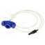 5601037 Syringe adapter; blue 6On_yHMh3hRF29t5TmVfJibyPJnyVk-wdnqh_0Luo-s