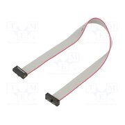FFSD-07-D-08.00-01-N Ribbon cable with IDC connectors; IDC,both sides; 203.2mm; 8" AK9hyQrSbafAE9Su9kmomUPBk1O2x1a03VAGzfzrdQY