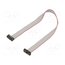 FFSD-07-D-08.00-01-N Ribbon cable with IDC connectors; IDC,both sides; 203.2mm; 8" AK9hyQrSbafAE9Su9kmomUPBk1O2x1a03VAGzfzrdQY