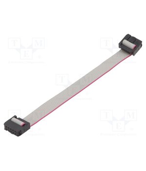 DS1052-102B2MA202001 Ribbon cable with IDC connectors; Tape ph: 1.27mm; 0.2m Ws8bH7BdSTAhLZkzajI8YJ8_QKsmRtktPIeluQFhDIk