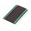 DE 119-TU-30/12,2/V Display: LCD; 7-segment; STN Positive; No.of dig: 4; Char: 12.7mm 05pM4nPHIa_b2WyeWoo9eEN_q8J7f9x2xq9RgU11whE