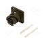 VG95234B1-10SL-4SN Connector: military; socket; female; PIN: 2; VG95234; 22A; crimped eXVkKqYwV0he9l5X62HAIMkKs47RQqL4rzmIpq_UK5E