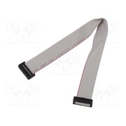 DS1052-01-202B2MA203001 Ribbon cable with IDC connectors; Tape ph: 1mm; Contacts ph: 2mm xi-7S2PXs0sNAEjd29zNhTRocGfVwbDE3XUSIyDrvA4