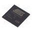 AT91SAM9G25-CU IC: ARM microprocessor; ARM926; 0.9÷1.1VDC; SMD; LFBGA217; PWM: 4 OYQeTtg3VdZ0YMZ6u4x1J1PoMncZQ29DqkGccShs3jA