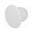 10060643 Stopper; H: 9mm; push-in; Flange dia: 15mm; white; Ømount.hole: 10mm 3u_-e0aQktael7P2nT59pccnK34tH2NGXp1VEm94b38