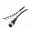 XZCP1141L2 Cable: for sensors/automation; M12; PIN: 4; straight; 2m; plug; 4A 5LPkK8Bom4RrUTJ6ZL4XHfEjhNWy-wX1U29-7GyALCY