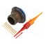 D38999/24WC98PN Connector: military; socket; male; PIN: 10; straight; crimped; 7.5A aeCRrXiUYA8GhBhe-qEcOQHukzaK3QBmyBubGexZhg0