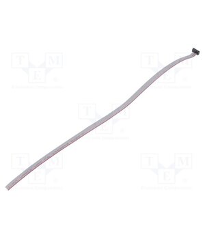 FFSD-05-S-12.00-01-N Ribbon cable with IDC connectors; IDC,wires; Tape ph: 0.64mm vILhXPlgg5delAYK-jrqJ1eKJ3VIQoUPcmybA0zvp2A