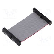 FFSD-20-D-02.00-01-N Ribbon cable with IDC connectors; IDC,both sides; 50.8mm; 2" 8RRzAl4hjwbeIsZKo8kVX-IJudYdUz1vrRSnp2zVHUE