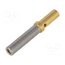0462-201-1631 Contact; female; 16; gold-plated; 0.5÷1mm2; turned contacts; bulk m5mtBUJ6447qHjMHR_4jjYWXSDuW40g9J7Tc3FatAT8