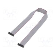 FFSD-12-D-14.00-01-N Ribbon cable with IDC connectors; IDC,both sides; 355.6mm; 14" vcMJr0hz1vA8ZiWOe2cdcAvwLQZhBacJ5bNDyMfKDq0