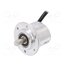 DBS50E-S5EK00500 Encoder: incremental; Usup: 7÷30VDC; 500imp/revol; OUT: push/pull 0RwOrfu8NCxu0tkbXYfxX4P32ausxa63LEtPQ2Smt64