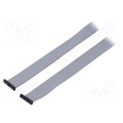 FFSD-17-D-99.00-01-N Ribbon cable with IDC connectors; IDC,both sides; 2514.6mm Os8DvGO_HTZpSF8QLUTzApZPT4gSWQXqzQ5un7t8Bk4