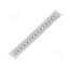 GN 711-KUS-150-W-R Ruler; R; W: 11mm; silver; plastic; Length: 150mm; self-adhesive bb60Im7yHnr9iQdsP8GWg0fS9qIH8ucLmxO5NFSiNtU