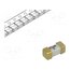 0448.062MR Fuse: fuse; 6.1x2.69x2.69mm; ceramic; SMD; 62mA; 125VAC; 125V; 448 GfanbJo9RtB7pcZj7mPLPWF0VL5lkRvpUJi4f1K9-kg