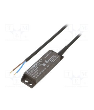 BN 310-RZ Reed switch; Range: 3÷60mm; Pswitch: 120W; 88x25x13mm; -25÷75°C qdJQP5QgtqLp-G4dxvhTk4i2Z67j-cVpEVfVIRDUuEg