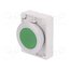 M30C-FDR-G Switch: push-button; 30mm; Stabl.pos: 2; green; none; IP67; Ø30.5mm 51d965Lj11S2A55jJ3EP3Jhy9O4r6Z4KHQRZq6dR6NA