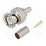 H3101A COPPER 1,1MM PIN Connector: BNC; plug; male; straight; 50Ω; crimped; for cable xaQEf7BqBLTYk3ewaaGJch_bNmcx_C6osq4_Xs6hKCk