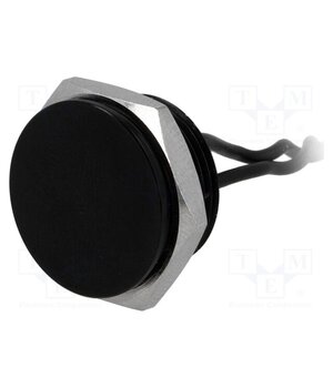 PS161P10YBK1 Switch: piezoelectric; Pos: 2; SPST-NO; 0.2A/24VAC; 0.2A/24VDC p9KBEXwy42qav5jnqX_IGiWtctSlZQoCBbWtFeaof7E