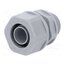 52005830 Straight terminal connector; Thread: PG,outside; polypropylene g15_vn5yFZ_b29pXoE7qw7H44JuVl8eCZcM2Mu2KVrM