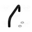 GN 425-10-120-SW Holder; steel; black; H: 43mm; Mounting: M5 screw; GN 425; Ø: 10mm PCeq-9PqXvDf7B_v8hjG9XLB21SKkN_rIt3jsnPY3b4