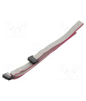 DS1052-01-102B2MA206001 Ribbon cable with IDC connectors; Tape ph: 1mm; Contacts ph: 2mm U4zE-tk60MlbpgvrKaojW93kfCWlIjSDkN61tPRJ0QY