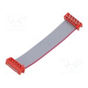 2205071-1 Ribbon cable with connectors; Tape ph: 1.27mm; PIN: 10; 2x5 AAIWJheHhXfyacfnbwrjppM2ZUixlI3tosM3fcqS0Mk