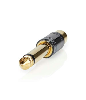 ADAPTERIS 6,3 mm (M) mono spraudnis <-> RCA (F)

 CPE523+2.jpg