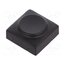 826.000.011 Button; rectangular; black; polyamide; 15.5x15.5mm 0DkxxpykidWm5sljLNFt3NgNWuKcdqAlyzUK47fl9V4