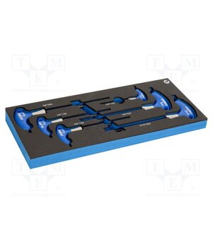 IFF1E010 Tools set: general purpose; in a foam tray yDAAPYJekT3TmVGROZ0viFiy7Fc15Oyf-53kT4PZSYU