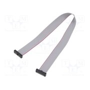 FFSD-10-D-10.00-01-N Ribbon cable with IDC connectors; IDC,both sides; 254mm; 10" 4n5hAxFg5IZcMMnwTC78yAYS0aGUGT1iiEpGCmYYtKg