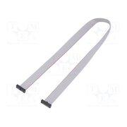 FFSD-10-D-02.60-01-N Ribbon cable with IDC connectors; IDC,both sides; 66.04mm; 2.6" Xhukh3Lqg9Rt6W4aP73xxGy-qxK18zqhGtzwBGaNJfU