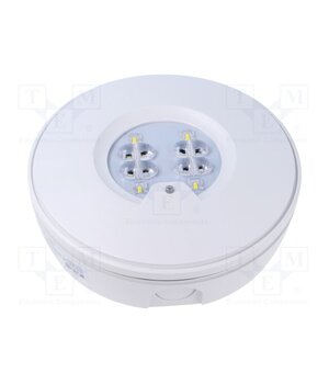RT2SSEO200ATF1HIP Lamp: LED emergency luminaire; RoundTech; IP65; white; 1.1W; 200lm xJ00lXBLhcVVQNgQn86LSotWlIOSIytzdtc1ynEcq4M