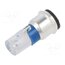 202-934-23-38 LED lamp; blue; SX3s; 24÷28VDC; No.of diodes: 1; 3mm; -40÷85°C nDAb2T-5vgBJfKRxEsmSnqJKPpVr_4GvswMtao-dKJg