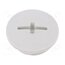 52006127 Stopper; M20; 1.5; IP68; polyamide; light grey; SKINDICHT®; 6mm mMfupWWBadin7VwGlkolXJPFwKv73fkvjBf8hGd1O0Y