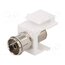 NK0020 Adapter; socket; female x2; Keystone; straight; white BJepSPDf6NSP0T7Wa8SG-h_Xhc3AvuzZDcsPIqtY2LU