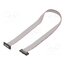 FFSD-10-D-13.40-01-N-SR Ribbon cable with IDC connectors; IDC,both sides; 340.36mm 1IsquBfP38kn5KOWLqX5vO57T7yKXx3jLm8TSa-fR60