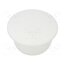 10060667 Stopper; H: 8.5mm; push-in; Flange dia: 19mm; white; 054154911303 ZvIrVrI9N4J_mgoU4FW-U9CRQ8jGJYHppoqt5LumVf0