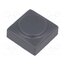 826.000.021 Button; rectangular; grey; polyamide; 15.5x15.5mm Ro3mJ_PKHlq7fJFwGShVvOYacbqH-BLaGDAZQG_V9X0