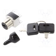 SK22AG13 Switch: key switch; Stabl.pos: 2; ON-ON; DPDT; Rcont max: 80mΩ; THT lCFJfOKYye_HZJwescABcaUhALAll4sofkGGwhIuoBI