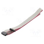 DS1052-01-122B2NA206001 Ribbon cable with IDC connectors; Tape ph: 1mm; Contacts ph: 2mm YU_GK8AwyPwdp5UWyQZgZzKiQQZ-zqOEThAI_HbZLNk