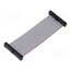 FFSD-17-D-03.00-01-N Ribbon cable with IDC connectors; IDC,both sides; 76.2mm; 3" upuL-4Dnxzn3NXpAbkNY6x1XSmcVFDe7fsg7ZX_O8eg