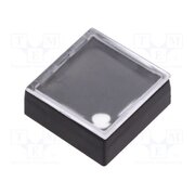 834.900.013 Button; rectangular; colourless; ABS; 18.3x18.3mm 1xySjw8IXcuE177_klu6hffpgrzM7J0REOr8JIjaCiE