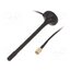 433M-ANT016 Antenna; RF; 2dBi; linear; magnet; 50Ω; 433.05÷434.79MHz; Ø: 29.4mm Dglifrh2NfpFW75xEZ1CgPuJpNd7r64duVeGISFMv28